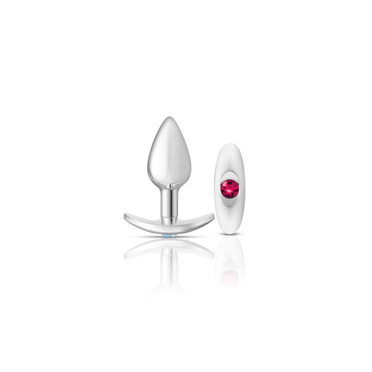 Cheeky Charms - Silver Metal Butt Plug Kit - Clear/ Bright Pink VB-CC9140